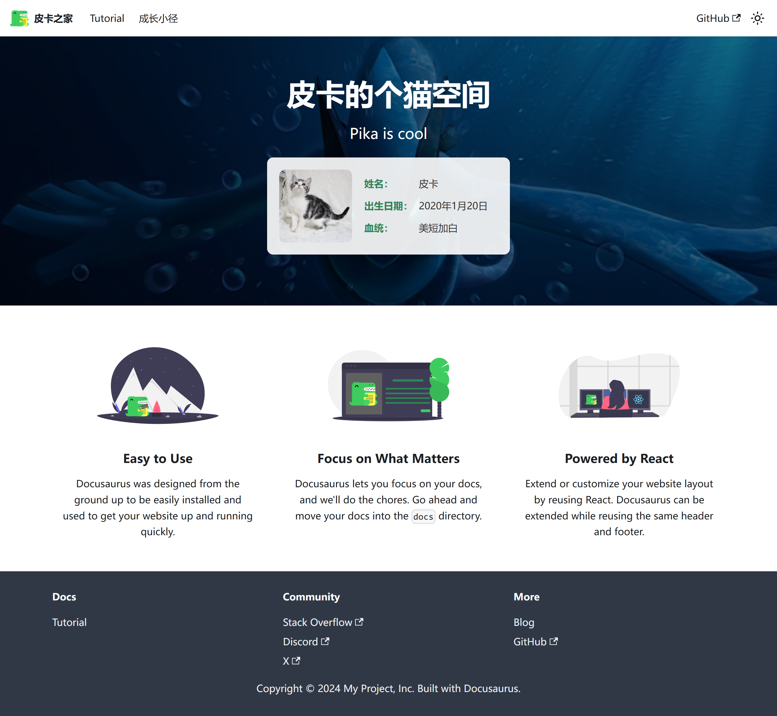 洒洒的博客首页截图